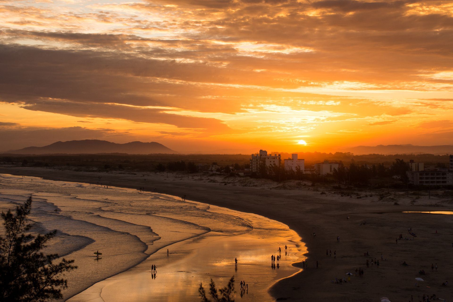 Rental Property Management